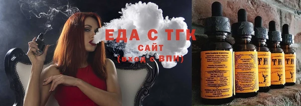 индика Надым