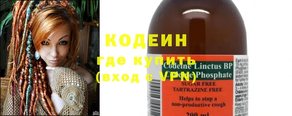 индика Надым