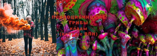 индика Надым