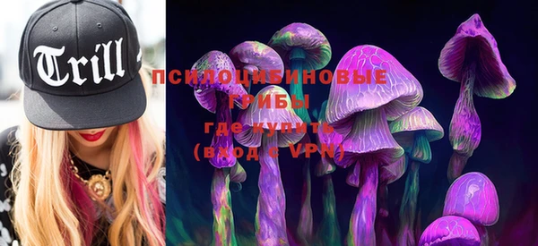PSILOCYBIN Абдулино