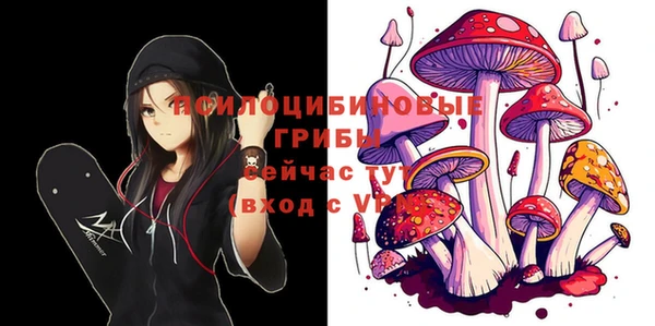 PSILOCYBIN Абаза